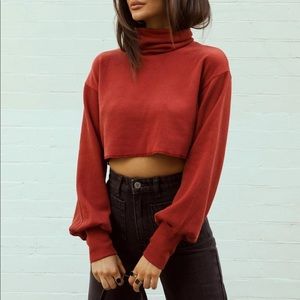 ✨NWOT Princess Polly cropped jumper. Size us 10